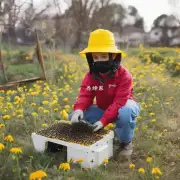我的孩子可以使用哪种设备登录蜜蜂作业系统吗?