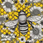 蜜蜂短文中的主要内容是什么?