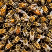 蜜蜂会根据环境食物和养分等因素来确定产蛋的位置例如当蜜源较少时母蜂可能会选择在巢框边缘或侧面产卵而当蜂群处于繁殖高峰期母蜂则可能集中产卵于中心区域以增加幼虫数量此外工蜂还会通过寻找合适的位置保持清洁和协调与同伴之间的合作来帮助蜂王进行产蛋工作问蜜蜂在产卵时会选择使用哪种类型的巢?