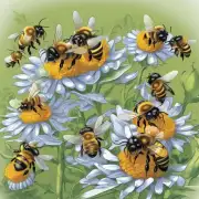 为什么一些蜜蜂只采集自己家族中的食物而不与其他种类的蜜蜂合作采食呢?