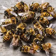 蜜蜂中毒一般使用什么药物治疗?