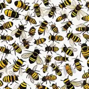 在分蜂隔过程中如何评估蜜蜂群的繁殖能力?