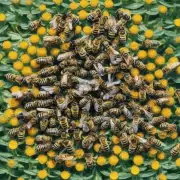 蜜蜂帮帮的工作方式是怎样的呢?