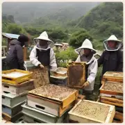 看看贵县临朐县养蜂人现在能卖多少钱一斤?