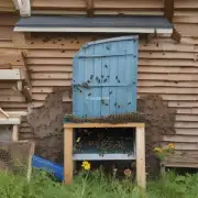 如何确保蜜蜂可以进入大棚吗?