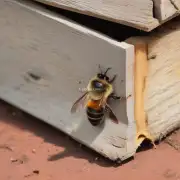 如果蜜蜂在过箱后一直飞回到原位置为什么它仍然无法找到蜂房的入口?