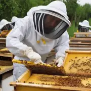 的话题蜜蜂通过哪些方式来进行采蜜的行为?