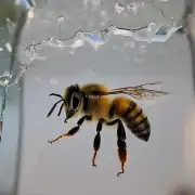 如果有蜜蜂在车玻璃上停留了多长时间?