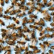 如果蜜蜂蜇人的概率确实较低那么蜜蜂为什么不蜇人而是一直嗡嗡作响呢?