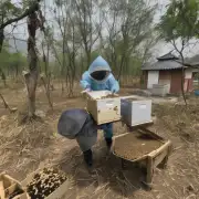 在浙江省内养殖者中存在哪些因素可能导致蜜蜂群体出现疾病或营养不良等问题呢?