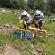 您对于蜜蜂采蜜是啥花有什么新的看法或者结论吗?