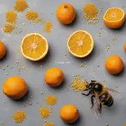 什么是金桔蜜和金桔蜂花粉?