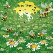 如何保持蜜蜂喷青梅素的质量和效力?