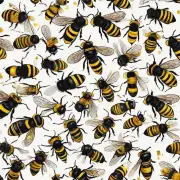 你觉得为什么有人会相信会有好和坏的黑金蜜蜂呢?