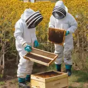 你是否知道养蜂需要哪些条件和资源?例如空间环境温度等等?