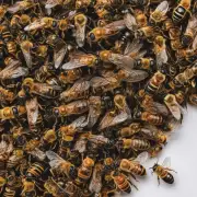 中国古代本土蜜蜂在农业生产中的作用是什么?