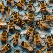 为什么蜜蜂会因为某种原因而大规模死亡?