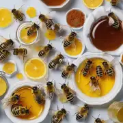 哪些食物对蜜蜂最有益?