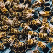 如果冬季中的蜜蜂蛰人的概率确实较低那么蜜蜂为什么不蜇人而是继续嗡嗡作响?