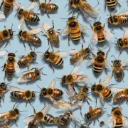 当蜜蜂有疾病时该如何处理它们?