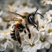 问题九如果你是一位医生护士如果你的病人在她的内衣上发现了一只蜜蜂你会怎么做?