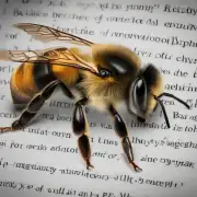 一句话解释蜜蜂福是什么?