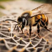 问题是蜜蜂依靠什么来辨别方向?