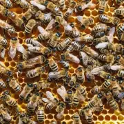蜜蜂通常在哪些时间段产卵以及生产幼虫的比例?