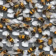 如果蜂群会飞在冬季里那蜂王会有哪些适应策略?