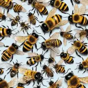 蜜蜂最害怕什么会引起他们的愤怒和攻击人类行为?