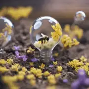 Mini World 怎么找到蜜蜂坐骑?