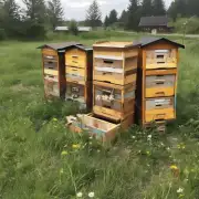 如果你已经切割了老式蜂箱并想要存放它们你需要使用什么方法来保持其安全存放并防止蜜蜂再次进入其中吗?