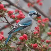 如果在喂养过程中出现问题如何解决?