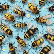 如何为蜜蜂宠物提供适当的水份以满足其需求?