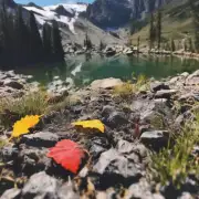 你在大山里发现了什么?