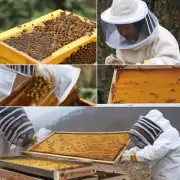 在浙江省的黄山市当地农民通常采用什么方法来保障冬季养蜂?