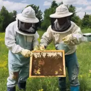这些养蜂品是什么?