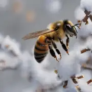 冬季中的蜜蜂是否会产生蜇人的冲动?
