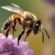 使用抗生素治疗蜜蜂蜇伤是有必要的吗?