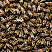 你知道吗?在自然环境中蜜蜂数量的变化直接影响着植物群落的发展那么一个蜂窝中有多只工蜂可以有效维持植物群落的健康发展?
