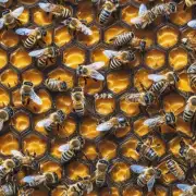 蜜蜂会自行移动蜜粉和蜂蜡到蜂房里么?