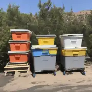 清早7点去采蜜的人有2只蜂箱和3只桶装蜂蜜如果每只桶装蜂蜜能装5斤有多少斤?