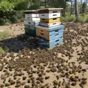 蜜蜂蛰了多长时间后才恢复正常?