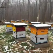 如何让蜜蜂在冬季里保暖?