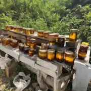 如果你在荆门市郊外发现野生蜂巢蜜你会选择使用哪种方法进行提取和存储?
