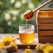 蜂蜜可以提高人们的免疫力吗?
