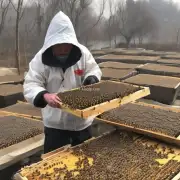 浙江地区的农民和养殖者们是如何应对冬季寒冷天气以保持蜜蜂健康与生产能力的?