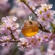 蜂蜜是如何在花朵中收集到花香?