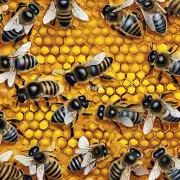 如果要长期坚持使用蜜蜂面膜小学生需要注意哪些问题呢?