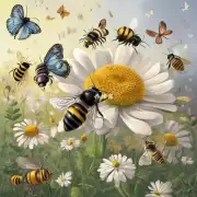 你觉得蜜蜂和蝴蝶最大的区别是什么?